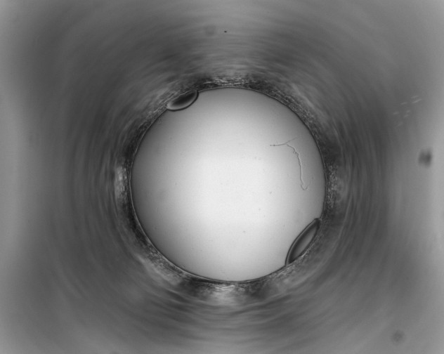 X0000099300130200805161358