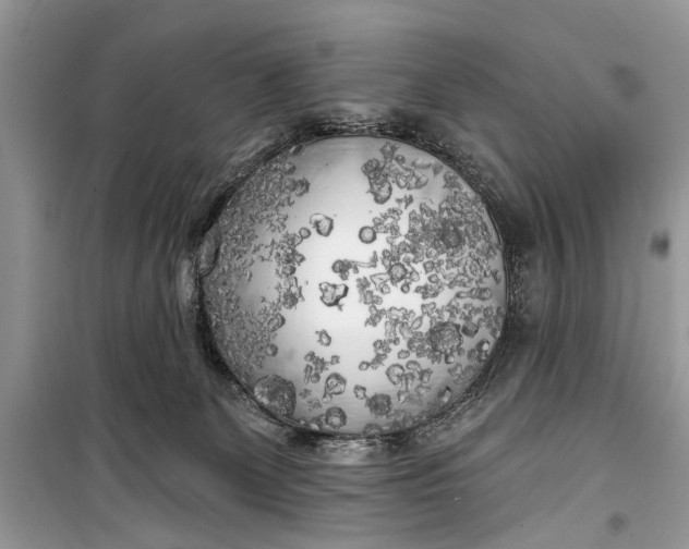 X0000099300131200805161358