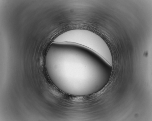 X0000099300132200805161358