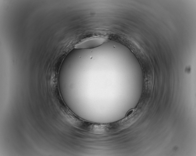 X0000099300134200805161358