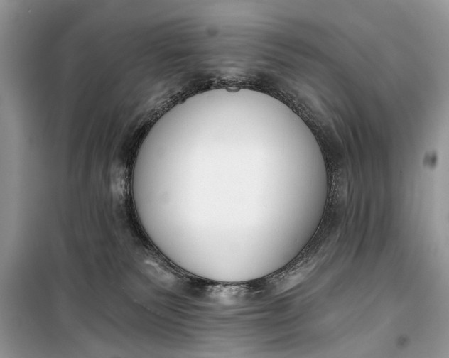 X0000099300135200805161358