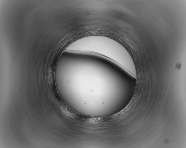 X0000099300136200805161358