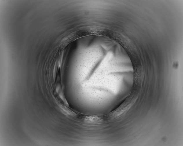 X0000099300137200805161357