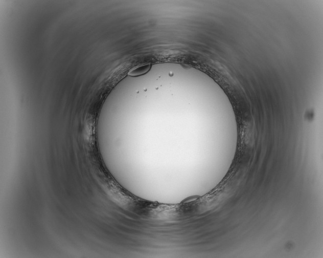 X0000099300138200805161357