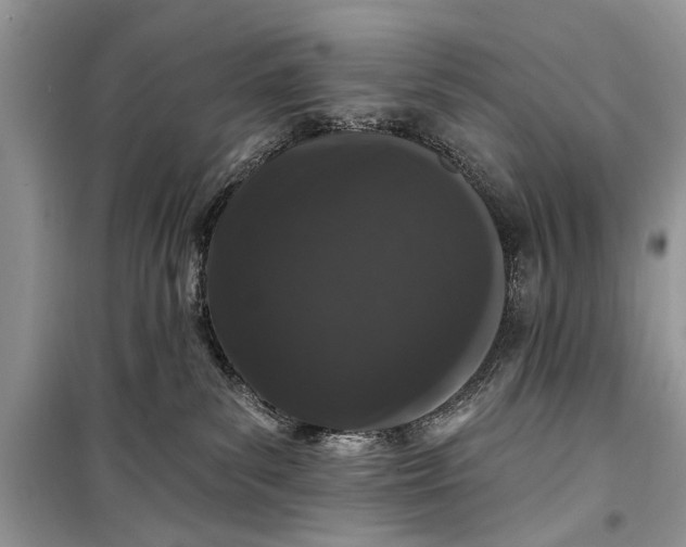 X0000099300139200805161357