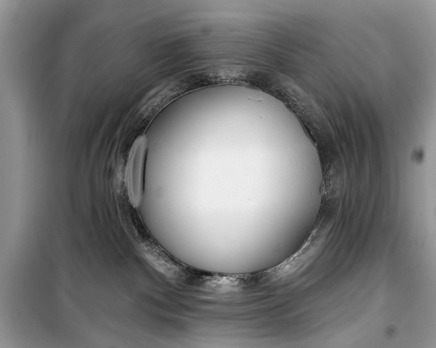 X0000099300140200805161357