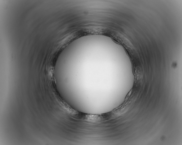 X0000099300141200805161357