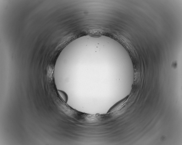 X0000099300142200805161357