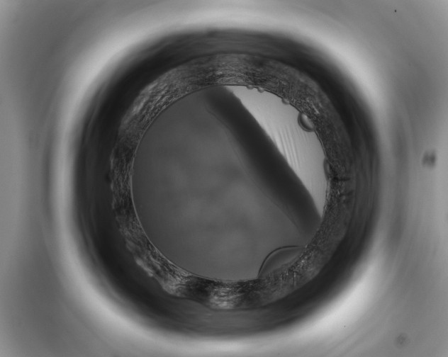 X0000099300143200805161357