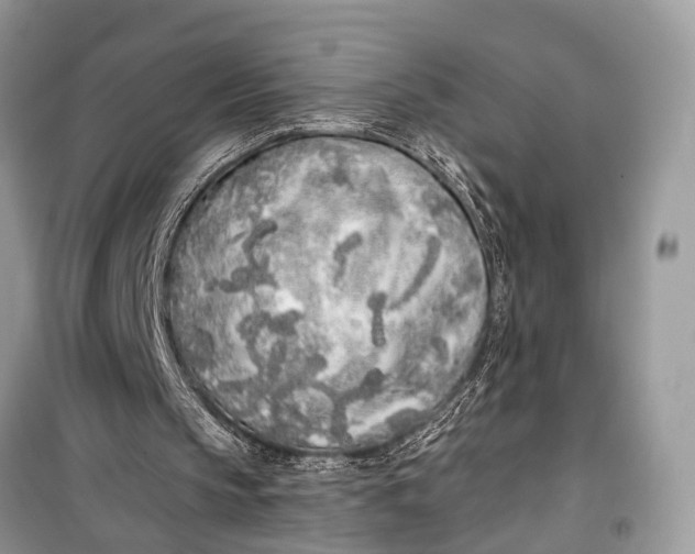 X0000099300145200805161357