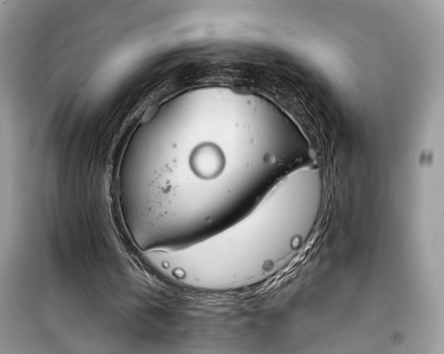 X0000099300146200805161357