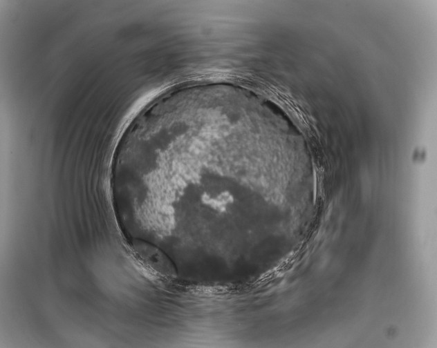 X0000099300147200805161357