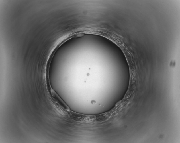 X0000099300148200805161357