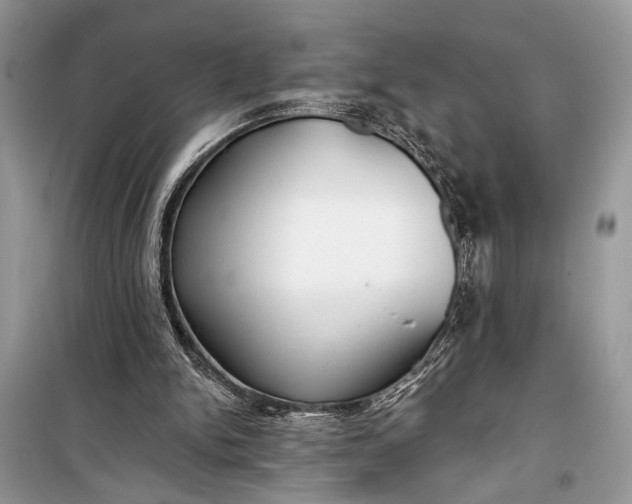 X0000099300150200805161357