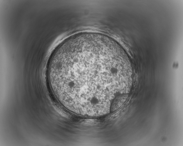 X0000099300151200805161357