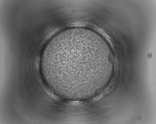 X0000099300153200805161357