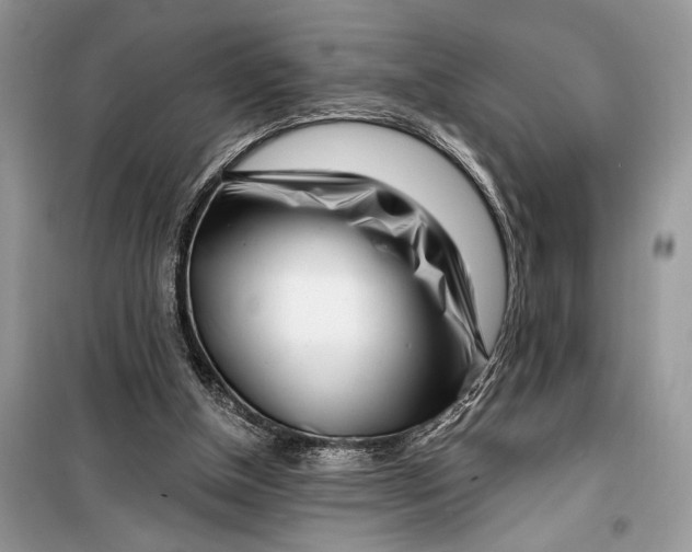 X0000099300154200805161357