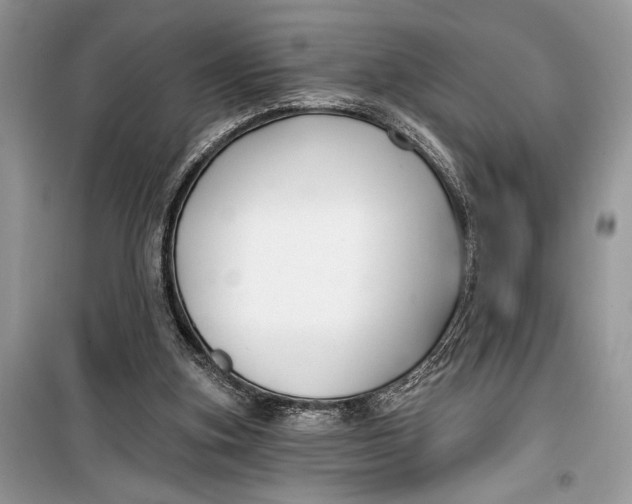 X0000099300155200805161357