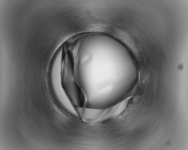 X0000099300156200805161357