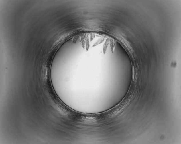 X0000099300157200805161357