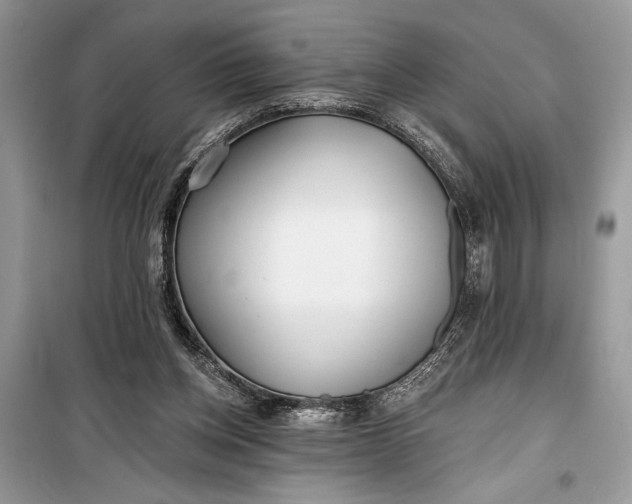 X0000099300158200805161357