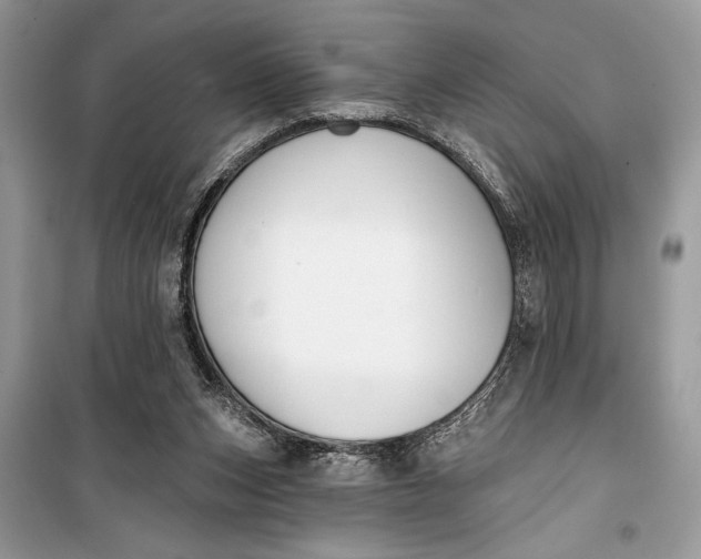 X0000099300159200805161357