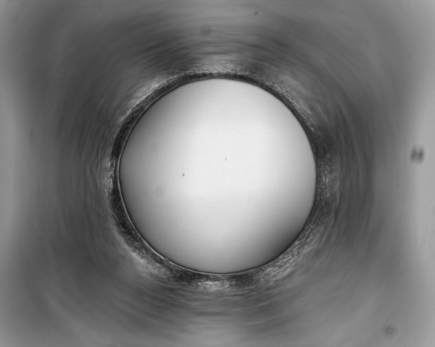 X0000099300160200805161357