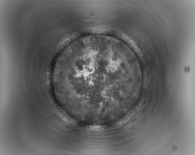 X0000099300161200805161357