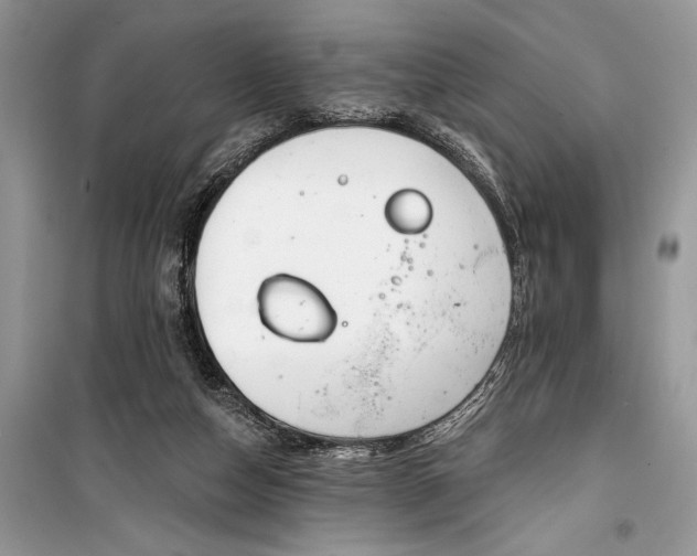 X0000099300162200805161357