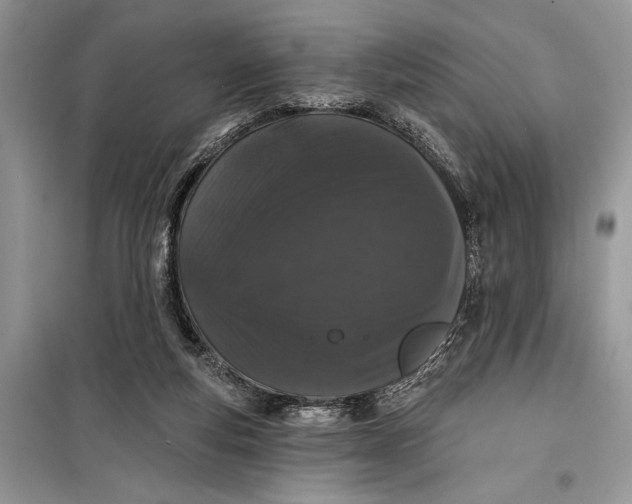 X0000099300163200805161357