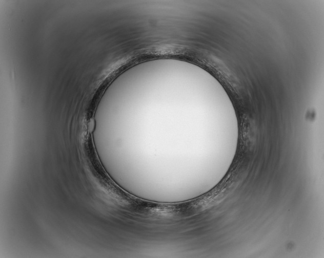 X0000099300164200805161357