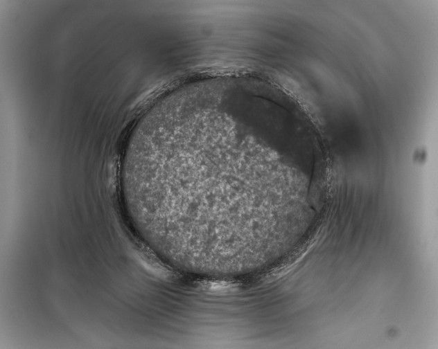 X0000099300165200805161357