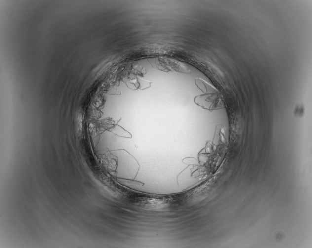 X0000099300166200805161357