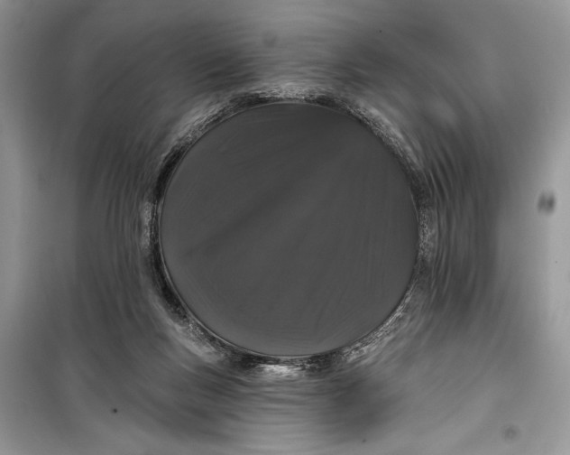 X0000099300167200805161357