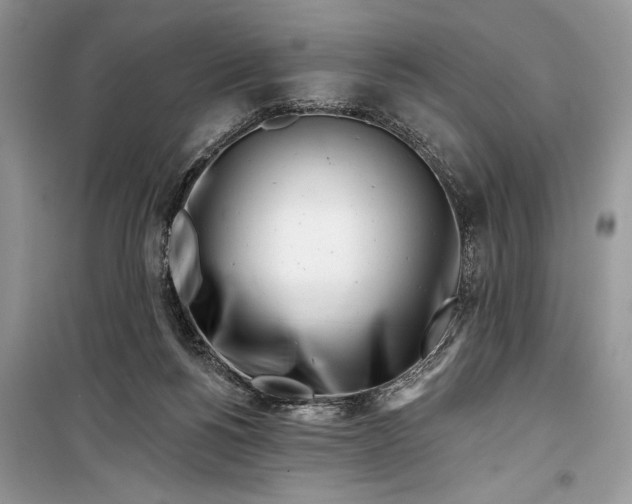 X0000099300168200805161357