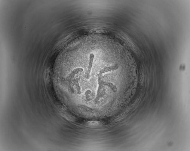 X0000099300169200805161357