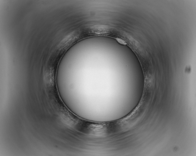 X0000099300170200805161357