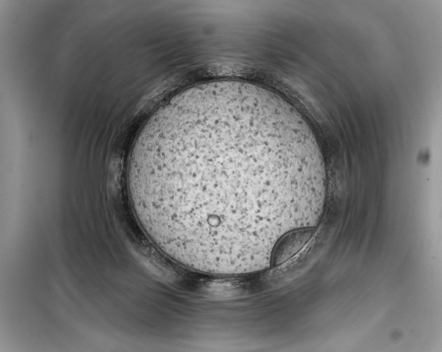 X0000099300171200805161357