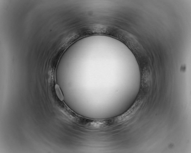 X0000099300172200805161357