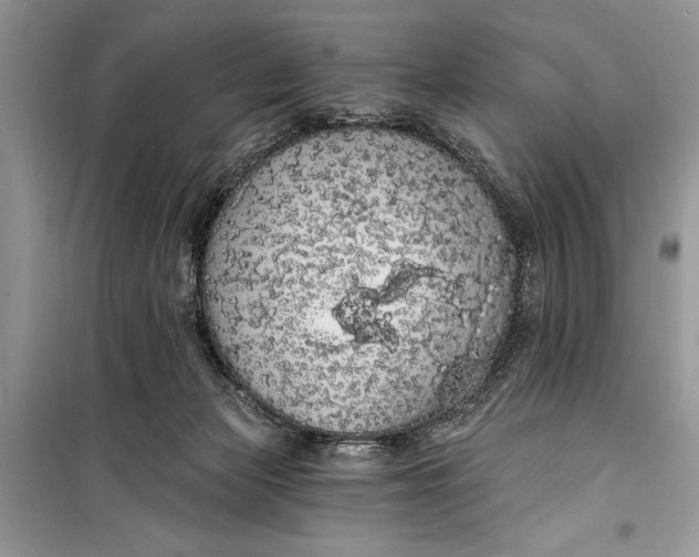 X0000099300173200805161357