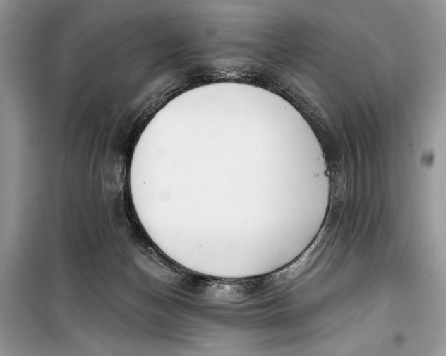 X0000099300174200805161357