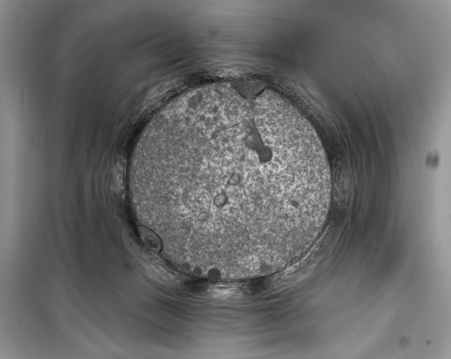 X0000099300175200805161357