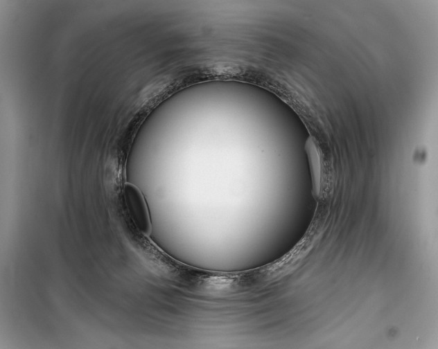 X0000099300176200805161357