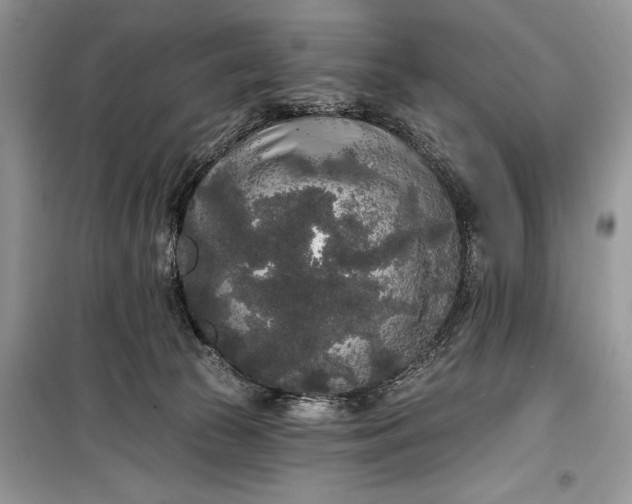 X0000099300177200805161357