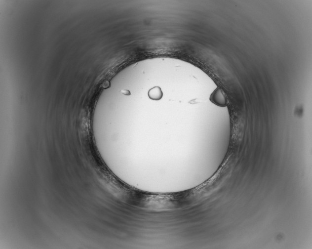 X0000099300179200805161357