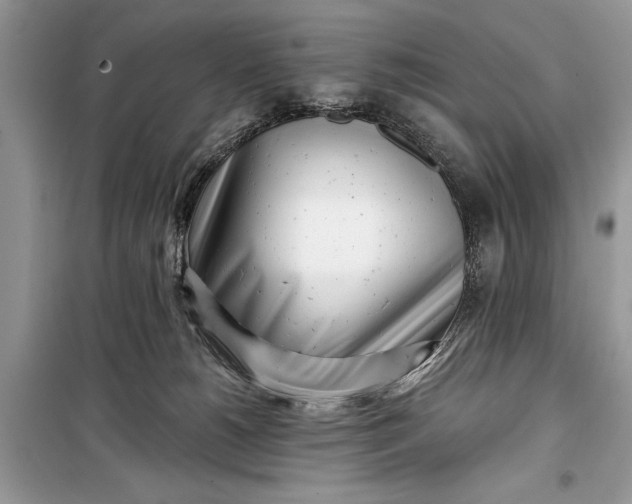 X0000099300180200805161357