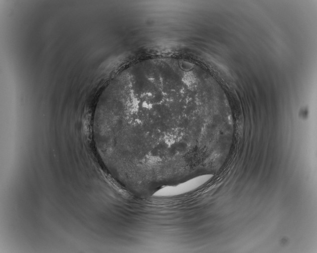 X0000099300181200805161357