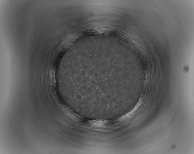 X0000099300182200805161357