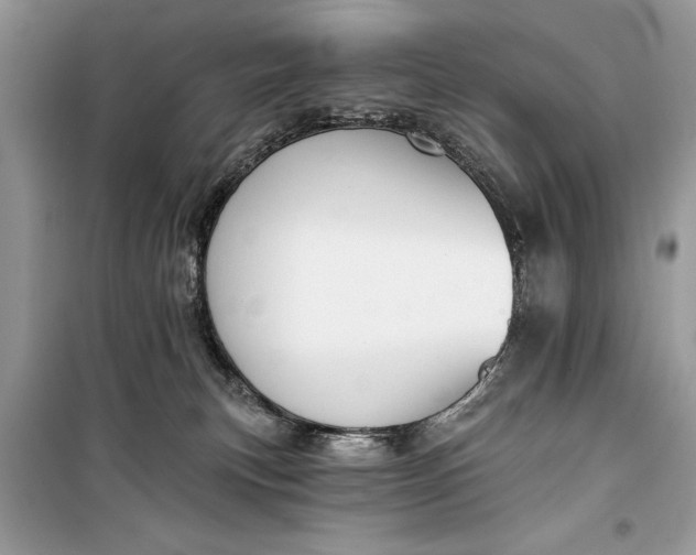 X0000099300183200805161357