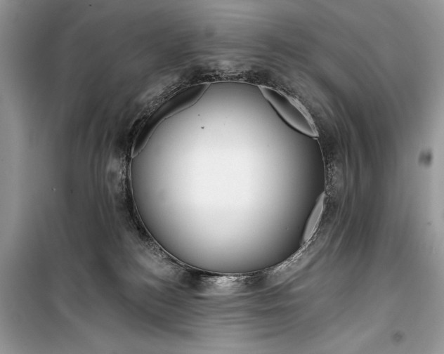 X0000099300184200805161357